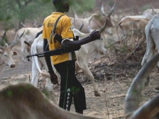 Herders Gangràpě 13-Year-Old Girl In Enugu, Kill Farmer For Trying To Rescue 25 18475044 peterobiexplains jpeg0fd1946673d45d97201a8496994a1918