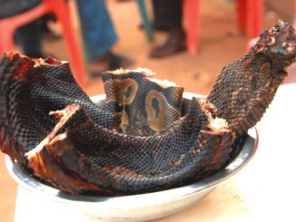 Snake, Donkey Meats Flood Calabar Markets As High Cost Of Beef Persists 56 18511412 images20240626t193246 372 jpeg jpeg19ff162076ac4c5d9f535d119ebbcf8d