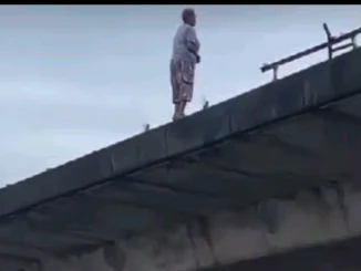 Woman Climbs Flyover And Jumps To Her Death In Delta 44 18520713 cppp1719694598 webp webpbda1b904cd0e0296f8edcd3e181c5374