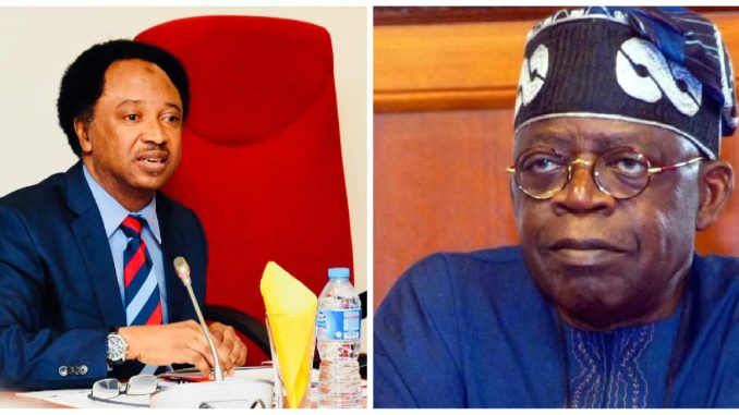 Shehu Sani: Insecurity Worse Under Buhari Than Tinubu 1 18521320 shehusaniandbolatinubu jpege65d868dd059c7a071e6032c1d848386