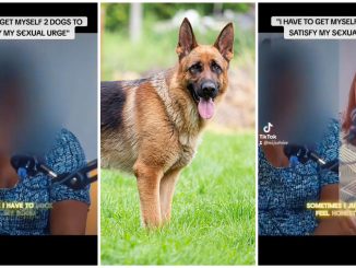 "I Got Myself 2 Dogs To Satisfy Me" - Lady Defiled At 5 (Photos, Video) 28 FotoGrid 20240608 201936111