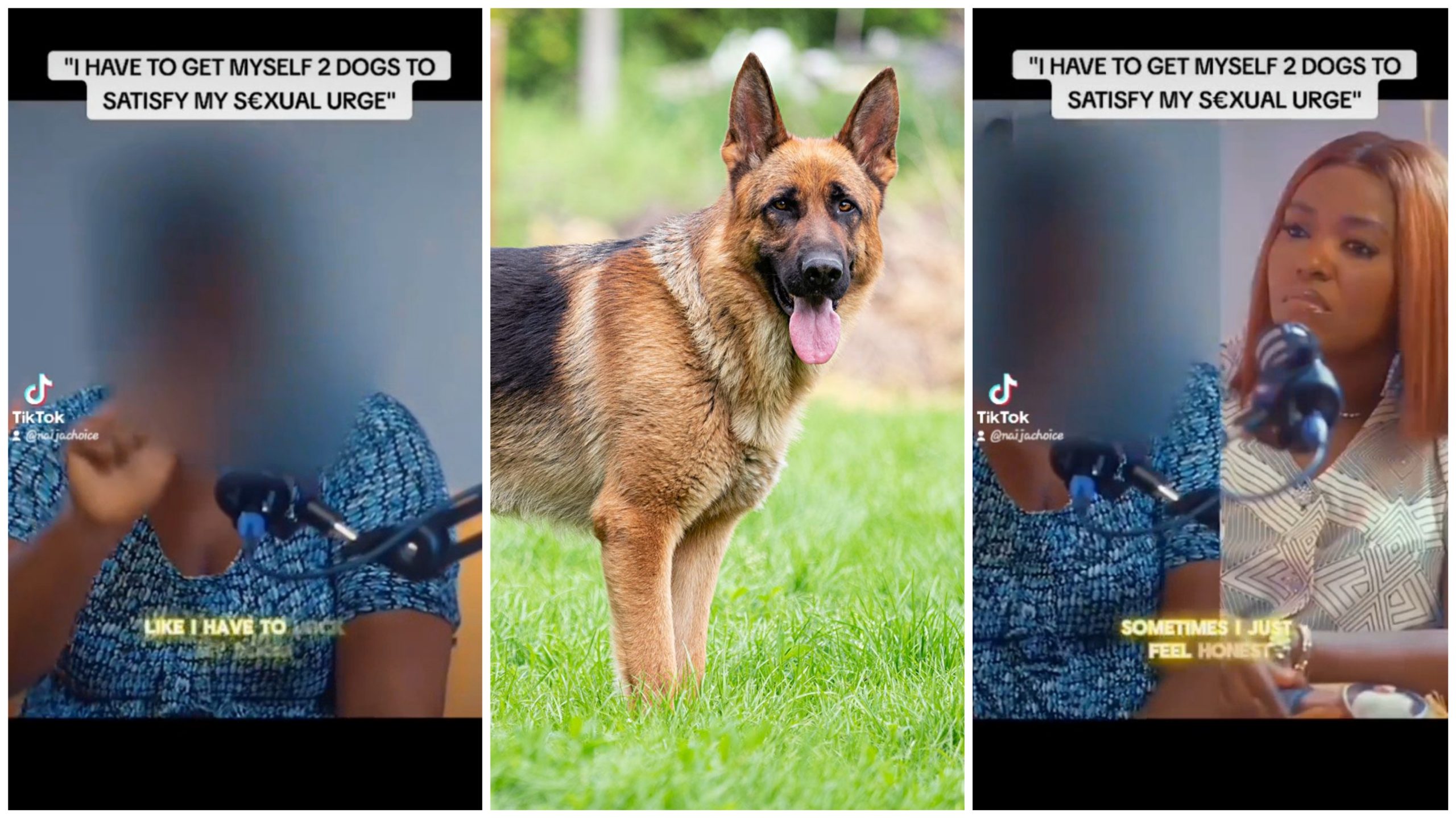 “I Got Myself 2 Dogs To Satisfy Me” – Lady Defiled At 5 (Photos, Video)