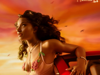 Goodbye (Warm Up) Lyrics by Ayra Starr & Asake 7 Birds Sing of Money Lyrics by Ayra Starr