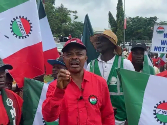 Minimum wage: Why you can’t dictate what to pay, Labour replies govs 3 Minimum wage: Why you can’t dictate what to pay, Labour replies govs