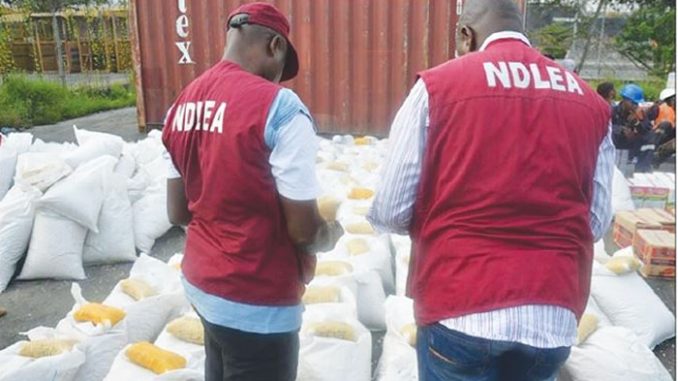 NDLEA Bursts Snake-Guarded Shrine Used For Storing Drugs In Edo 1 NDLEA Bursts Snake-Guarded Shrine Used For Storing Drugs In Edo