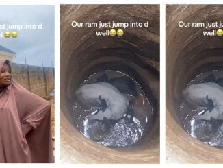 Drama As Sallah Ram Jumps Into Well (Video) 7 sallah ram