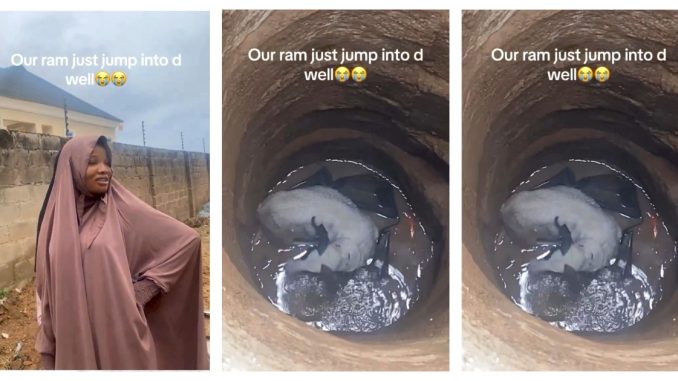 Drama As Sallah Ram Jumps Into Well (Video) 1 sallah ram
