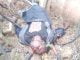 See Man Electrocuted While Stealing Transformer Cables In Enugu