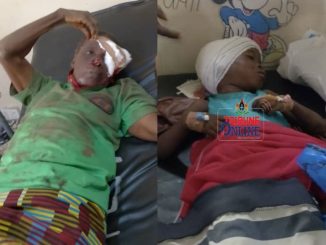 Dog Eats Flesh Off Girl’s Head, Attacks Owner Trying To Protect Victim In Apete Ibadan 48 18550984 img6650 jpeg jpegcb6e428392924bfab53170502ef7a743