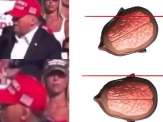 How A Millisecond Head Tilt Saved Donald Trump’s Life (Video) 6 18568024 451014500183548526671110533365044446377456686n jpeg5b165abdc5e3c1595c5f938c888b2023