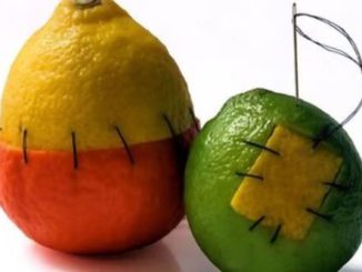 7 Fruits and Vegetables You Didn't Know Were Man-Made 8 NaijaChoice News