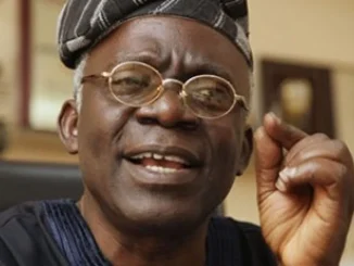 Anti-Government Protest: Threats Won’t Work – Femi Falana Tells FG 17 Anti-Government Protest: Threats Won’t Work – Femi Falana Tells FG