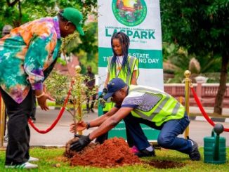 Climate Change: Lagos To Plant 20,000 Trees In One Year 14 Climate Change: Lagos To Plant 20,000 Trees In One Year