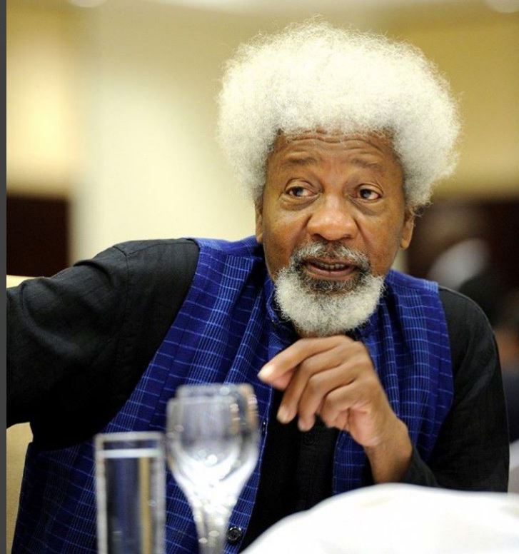 Wole Soyinka Slams President Tinubu’s Address, Response To Protests