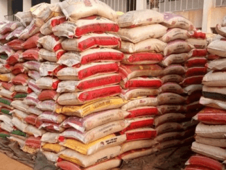 Planned Protest: FG Begins To Sell 50kg Rice At ₦40,000 20 Planned Protest: FG Begins To Sell 50kg Rice At ₦40,000