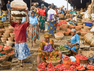 Prices Of Beans, Tomato, Yam, Potato Rise By Over 250% In One Year 10 Prices Of Beans, Tomato, Yam, Potato Rise By Over 250% In One Year