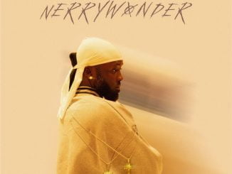 Shine Lyrics by Nerryckole Ft. Seyi Vibez 19 Shine Lyrics by Nerryckole Ft. Seyi Vibez