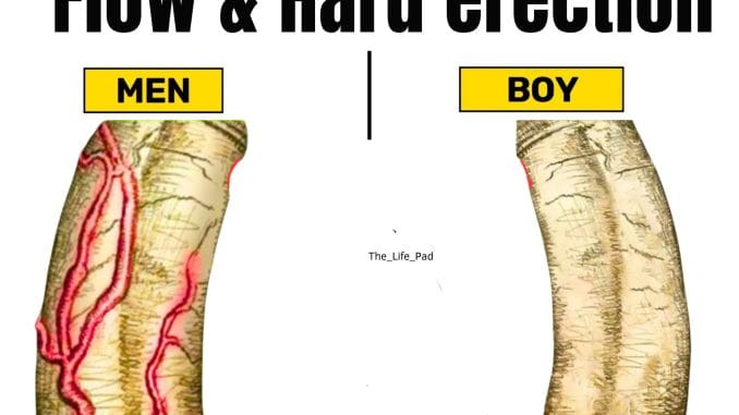 4 Exercise for Blood Flow and Hard Erection (Watch) 1 20240826 200926