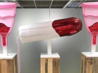 What to know about the world’s first v*gina museum 2 Auto Draft