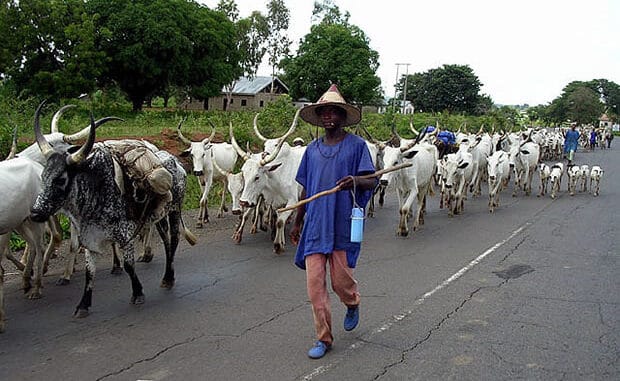 One Dies, Business Grounded As Ogun Hunters, Herders Clash 1 Auto Draft
