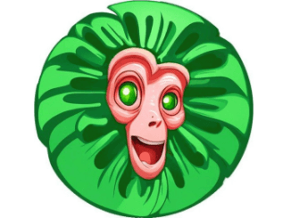 Baboon Daily Combo 1 September 2024 26 Baboon Daily Combo 1 September 2024
