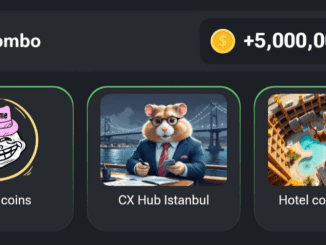 Hamster Kombat Daily Combo 3 September 2024 44 Hamster Kombat Daily Combo 3 September 2024