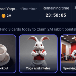 Rocky Rabbit Daily Combo 5 September 2024