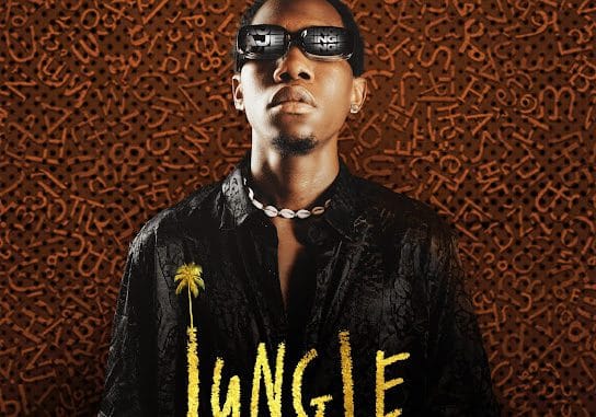 Ajesings - Jungle 1 NaijaChoice News 8