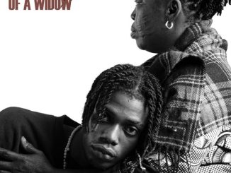 Ayox - Ashewo Boy ft. Tekno 10 Ayox - Ashewo Boy ft. Tekno
