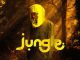 Ayox - JUNGLE