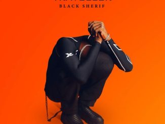 Black Sherif - Kwaku The Traveller 9 Black Sherif - Kwaku The Traveller