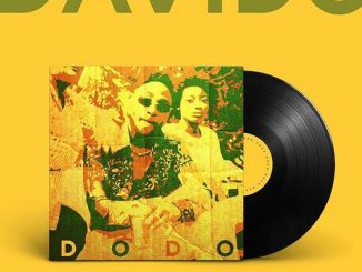 DAVIDO - DODO 19 DAVIDO - DODO