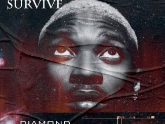 Diamond Jimma - I Will Survive 25 Diamond Jimma - I Will Survive