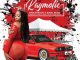 Kaymolic - Party eFedile 2.0 (Bacardi Version) ft. Afrikan Roots, Rugal MusiQ, DJ Dadaman, K9ne T9ne, Emoji SA, Flair & Pouler DMusic