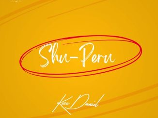 Kizz Daniel - Shu-Peru 15 Kizz Daniel - Shu-Peru
