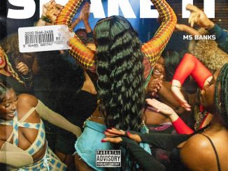 Ms Banks - Shake It