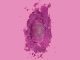 Nicki Minaj - If It’s Okay ft. David Guetta & Davido