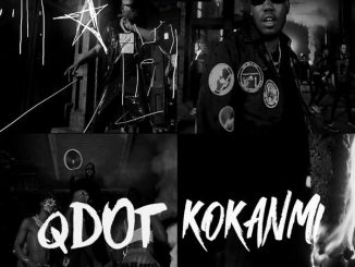 Qdot - Kokanmi 21 Qdot - Kokanmi