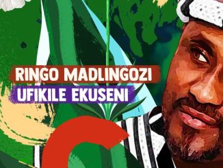 Ringo Madlingozi – Ufikile Ekuseni 41 Ringo Madlingozi – Ufikile Ekuseni