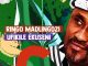Ringo Madlingozi – Ufikile Ekuseni