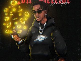 Shallipopi - Evil Receive 4 Shallipopi - Evil Receive