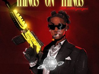 Shallipopi - Things on Things 6 Shallipopi - Things on Things