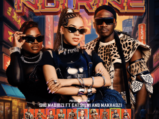 Sho Madjozi - Ndi Rine ft. Makhadzi & Gatsheni 35 Sho Madjozi - Ndi Rine ft. Makhadzi & Gatsheni