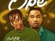 Starlekzy - Ope ft. Qdot