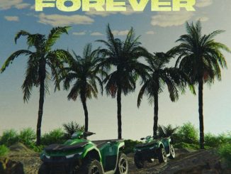 Tion Wayne - Forever ft. Shallipopi 10 Tion Wayne - Forever ft. Shallipopi