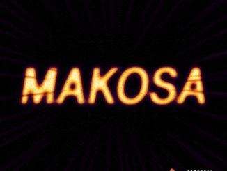 Uloko - Makosa