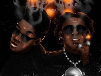 Zerrydl - Puff & Pass (Remix) ft. Shallipopi 11 Zerrydl - Puff & Pass (Remix) ft. Shallipopi