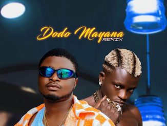 Aremo kuti - Dodo Mayana (Remix) ft. Portable