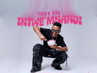 Ceeka RSA - Ngim' sheshisele ft. Tyler ICU, Scotts Maphuma, Khalil Harrison & Jay Sax