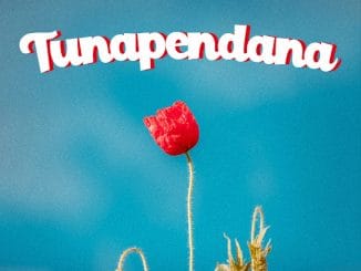 D Voice - Tunapendana